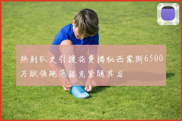 热刺队史引援花费揭秘西蒙斯6500万欧领跑范赫克紧随其后