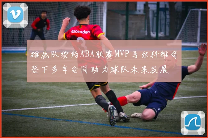 雄鹿队续约ABA联赛MVP马尔科维奇签下多年合同助力球队未来发展