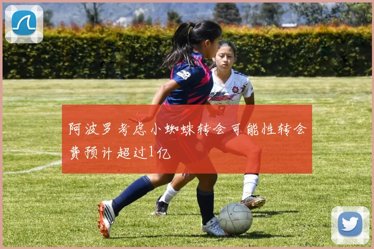 阿波罗考虑小蜘蛛转会可能性转会费预计超过1亿